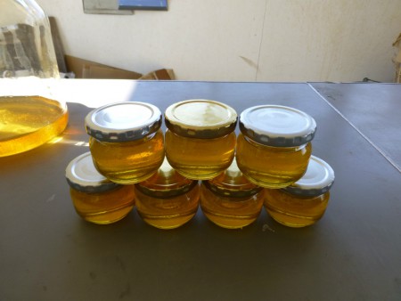 13年度のハチミツ