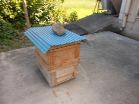 充満してきたので2段に、上はトップバー