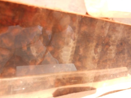 横の窓を開けて内部を観察できます